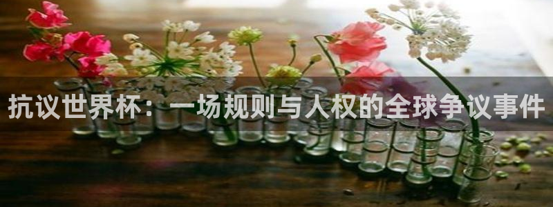 欧洲世界杯预选赛：抗议世界杯：一场规则与人权的全球争议事件