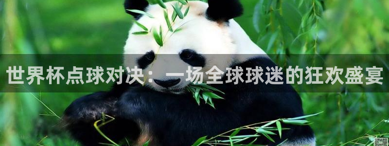 世界杯直播：世界杯点球对决：一场全球球迷的狂欢盛宴