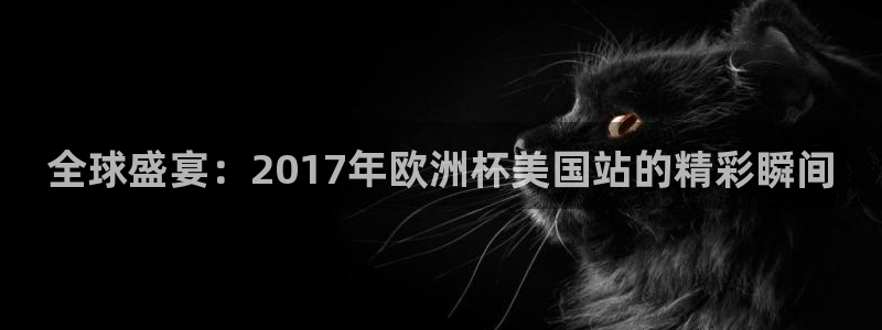 世界杯直播免费观看：全球盛宴：2017年欧洲杯美国站的精彩瞬间