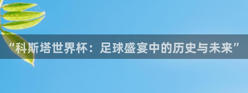 足球世界杯预选赛：“科斯塔世界杯：足球盛宴中的历史与未来”