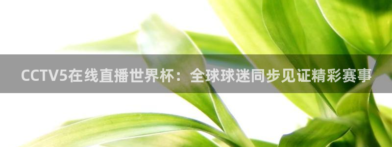 世界杯欧洲区世预赛赛程：CCTV5在线直播世界杯：全球球迷同步见证精彩赛事
