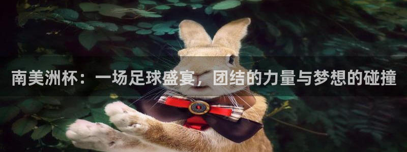 2026年世界杯：南美洲杯：一场足球盛宴，团结的力量与梦想的碰撞
