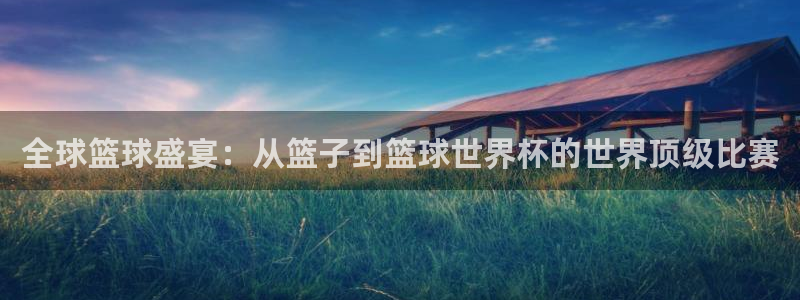 2006世界杯：全球篮球盛宴：从篮子到篮球世界杯的世界顶级比赛