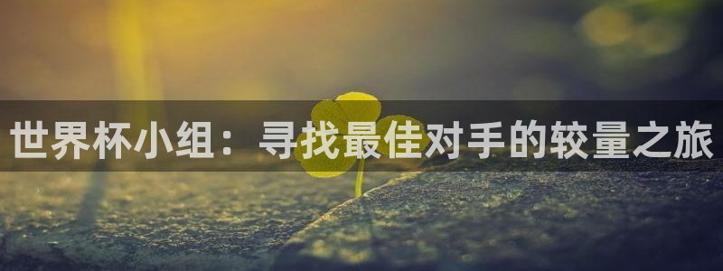 2026足球世界杯赛程：世界杯小组：寻找最佳对手的较量之旅