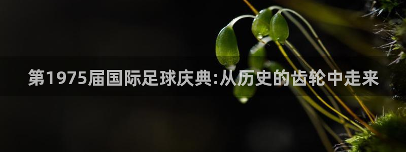 世界杯比赛直播：第1975届国际足球庆典:从历史的齿轮中走来