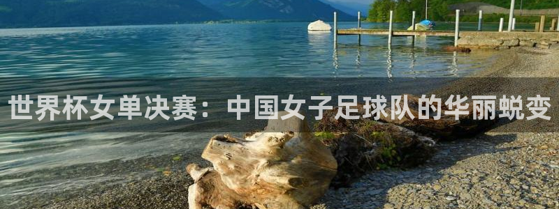 2006年世界杯冠军：世界杯女单决赛：中国女子足球队的华丽蜕变