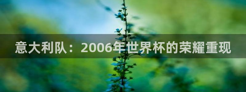 世界杯欧洲区赛程：意大利队：2006年世界杯的荣耀重现